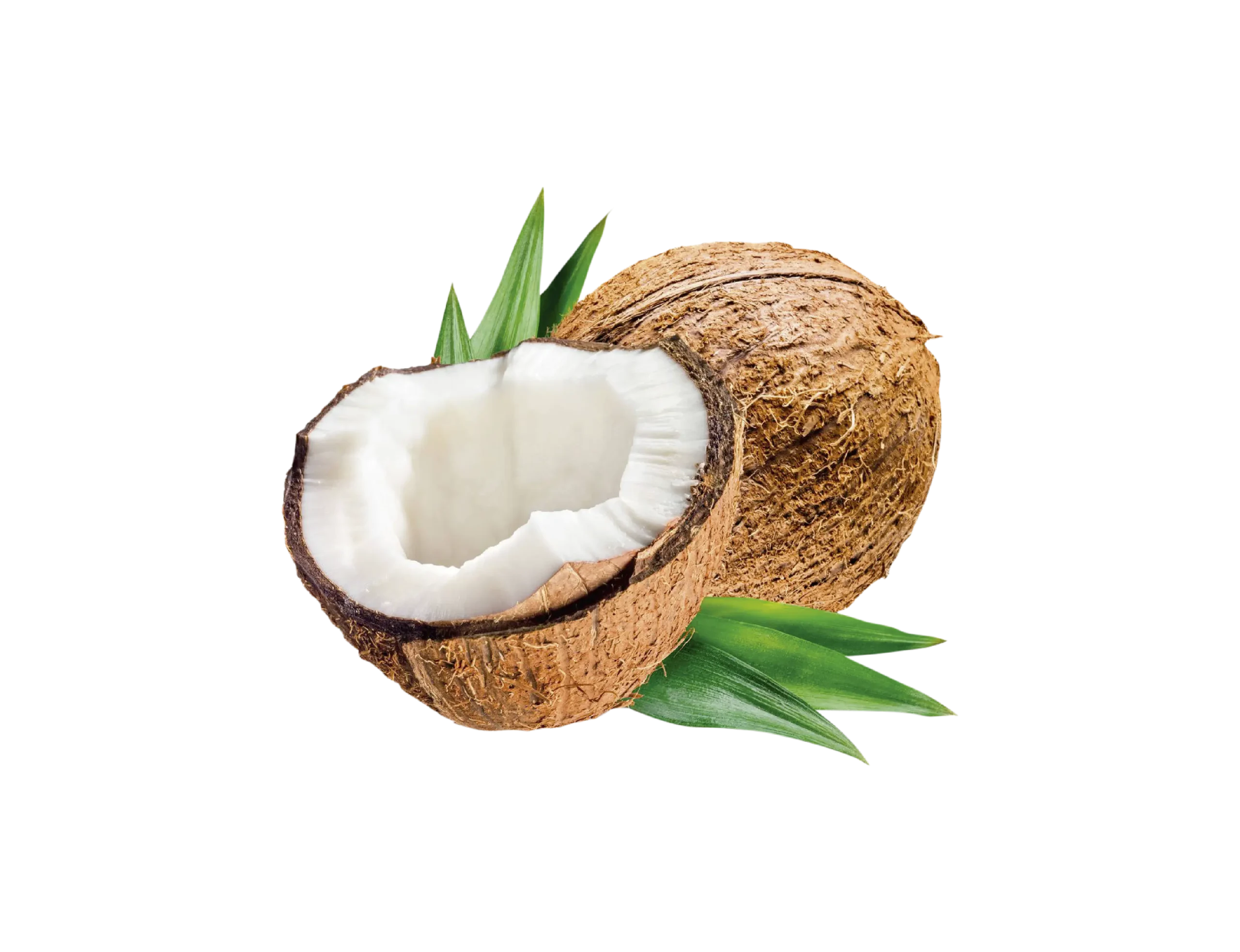 Limonada de coco - Agrofresh